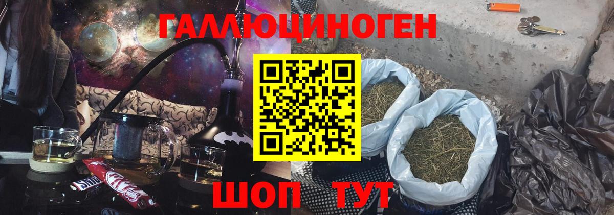 Галлюциногенные грибы Psilocybe Дагестанские Огни